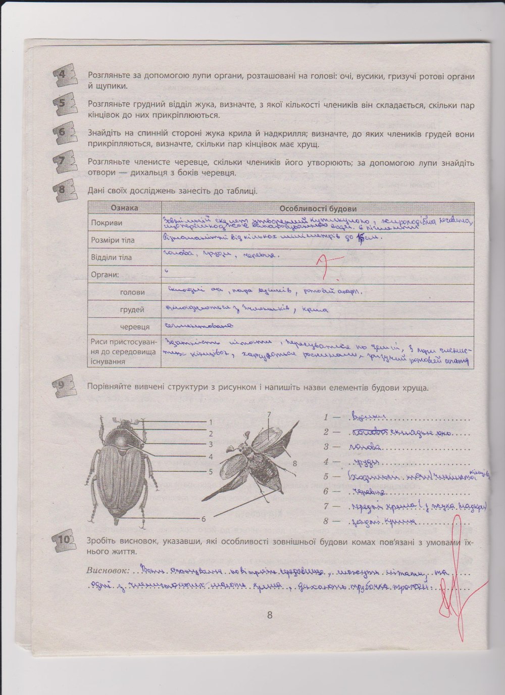 Робочий зошит з біології 8 клас Т.С. Котик, О.В. Тагліна Страница 8