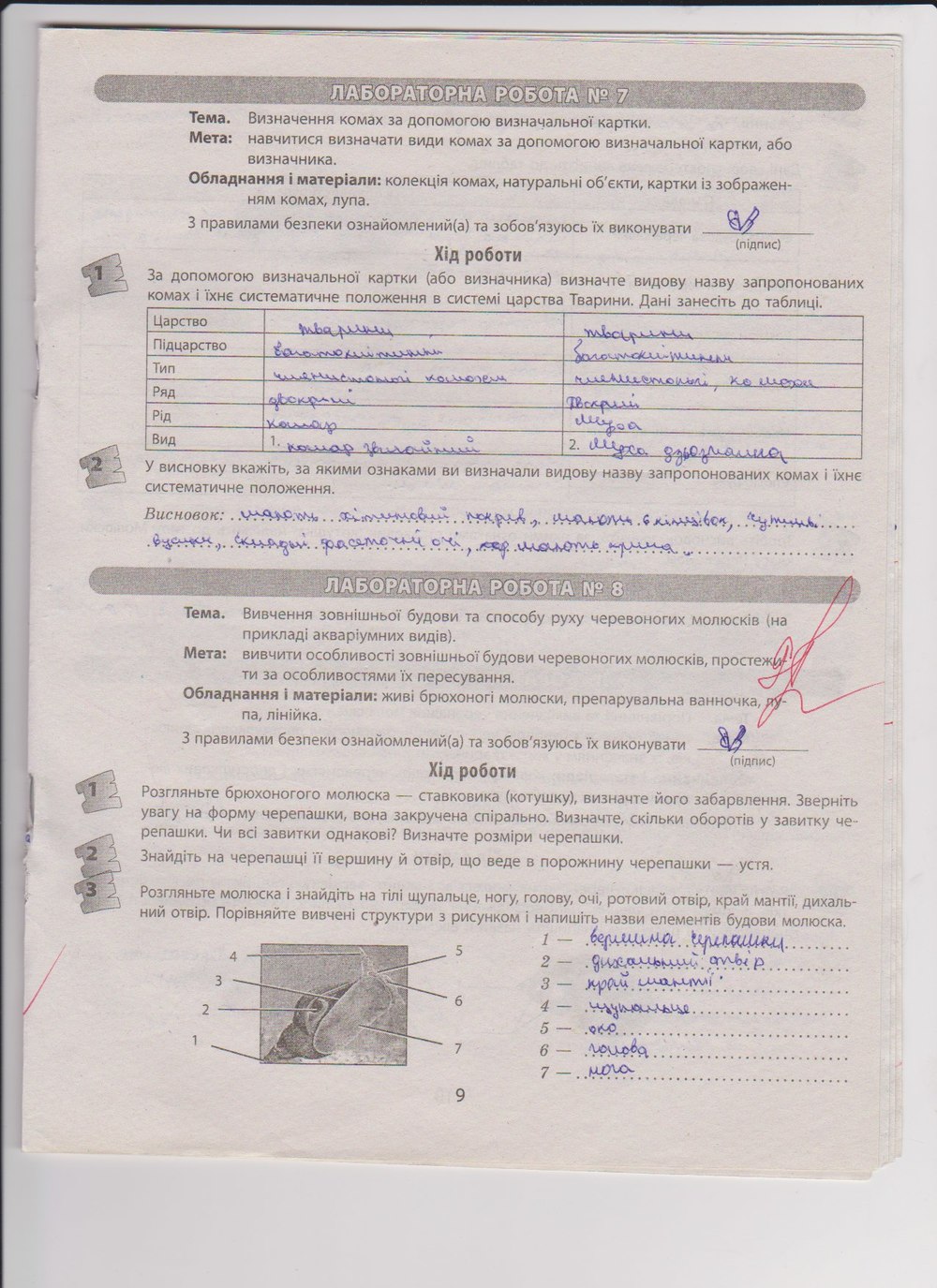 Робочий зошит з біології 8 клас Т.С. Котик, О.В. Тагліна Страница 9