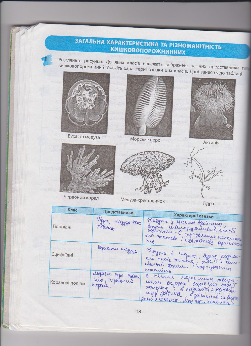 Робочий зошит з біології 8 клас Т.С. Котик, О.В. Тагліна Страница 18