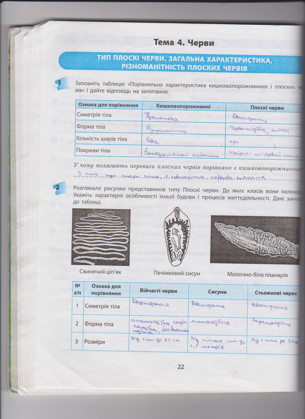 Робочий зошит з біології 8 клас Т.С. Котик, О.В. Тагліна Страница 22