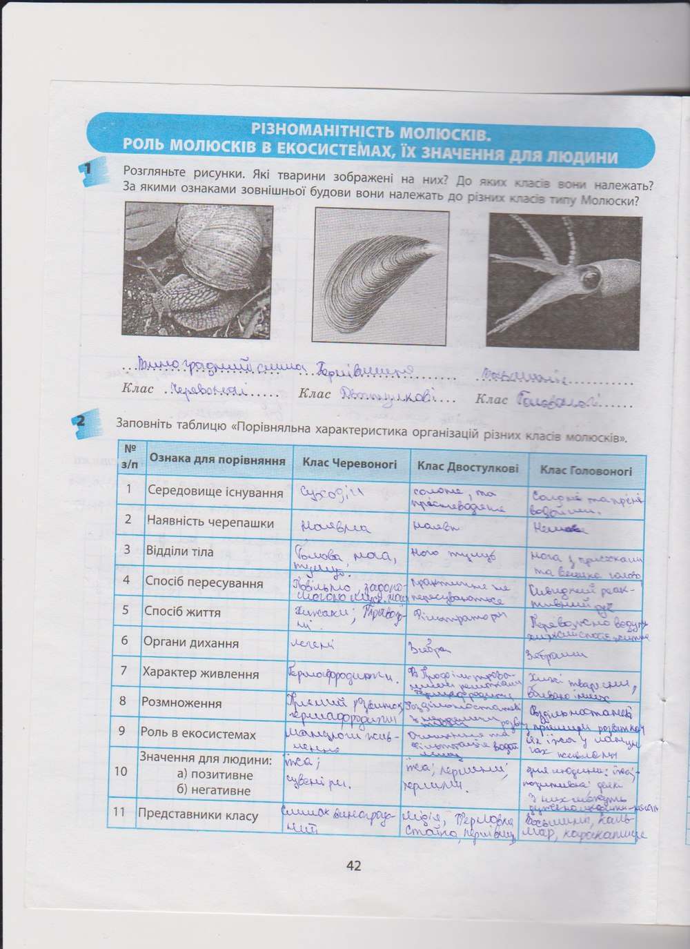 Робочий зошит з біології 8 клас Т.С. Котик, О.В. Тагліна Страница 42