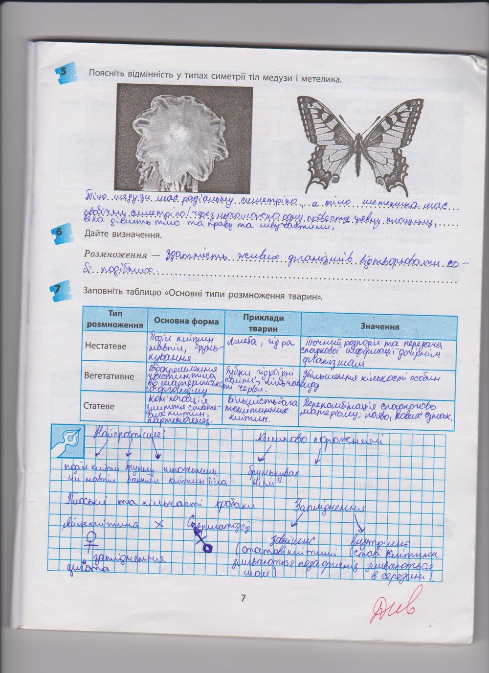Робочий зошит з біології 8 клас Т.С. Котик, О.В. Тагліна Страница 7