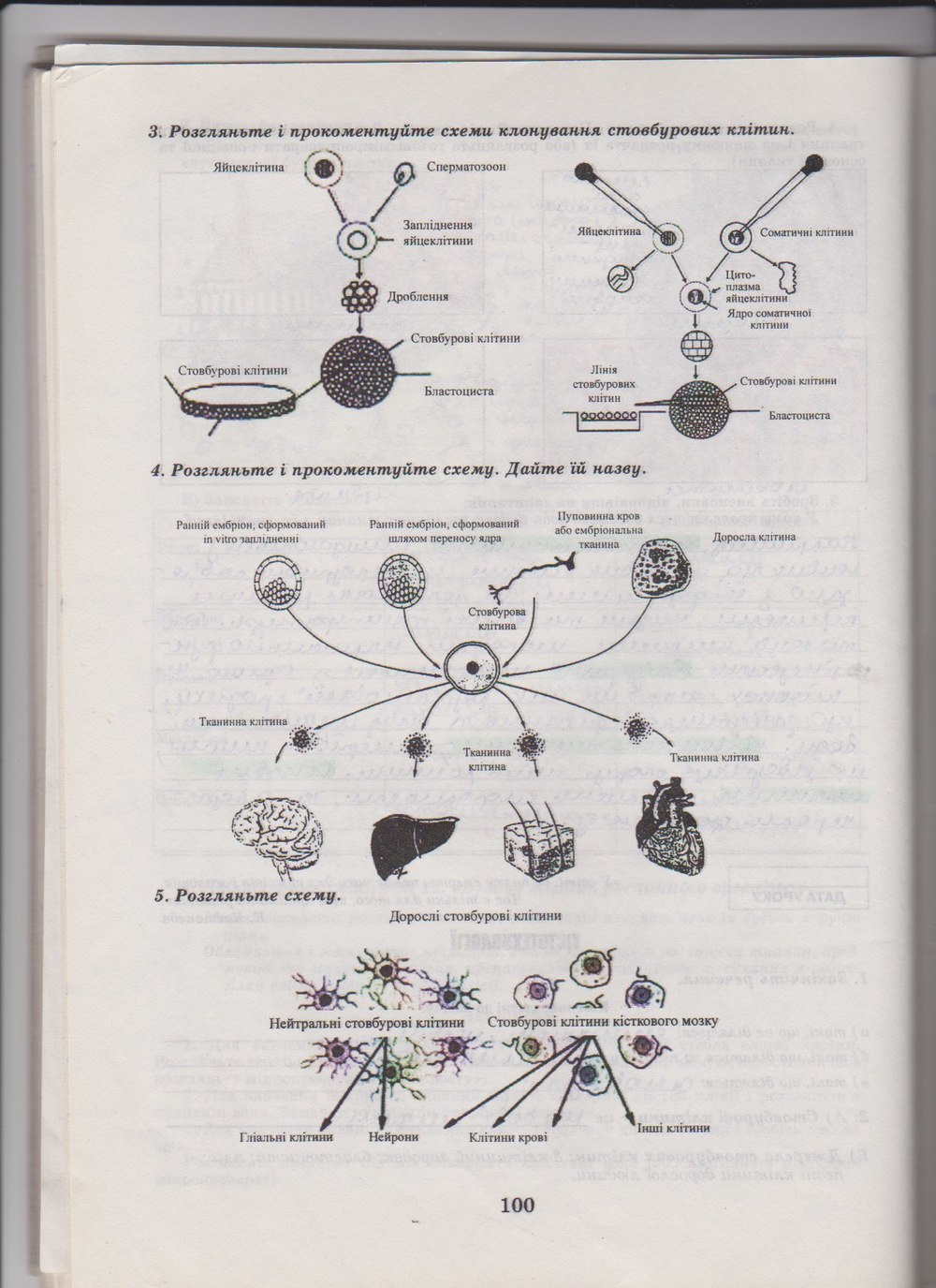 Робочий зошит з біології 10 клас Е. Яковлева, Н. Гусева Страница 100