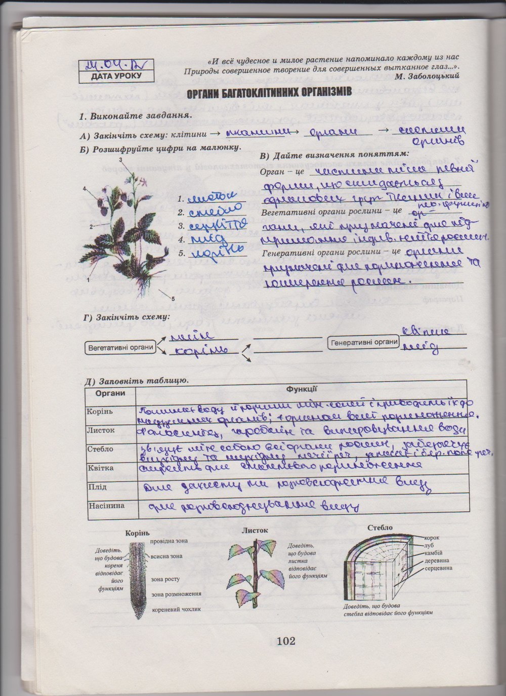 Робочий зошит з біології 10 клас Е. Яковлева, Н. Гусева Страница 102