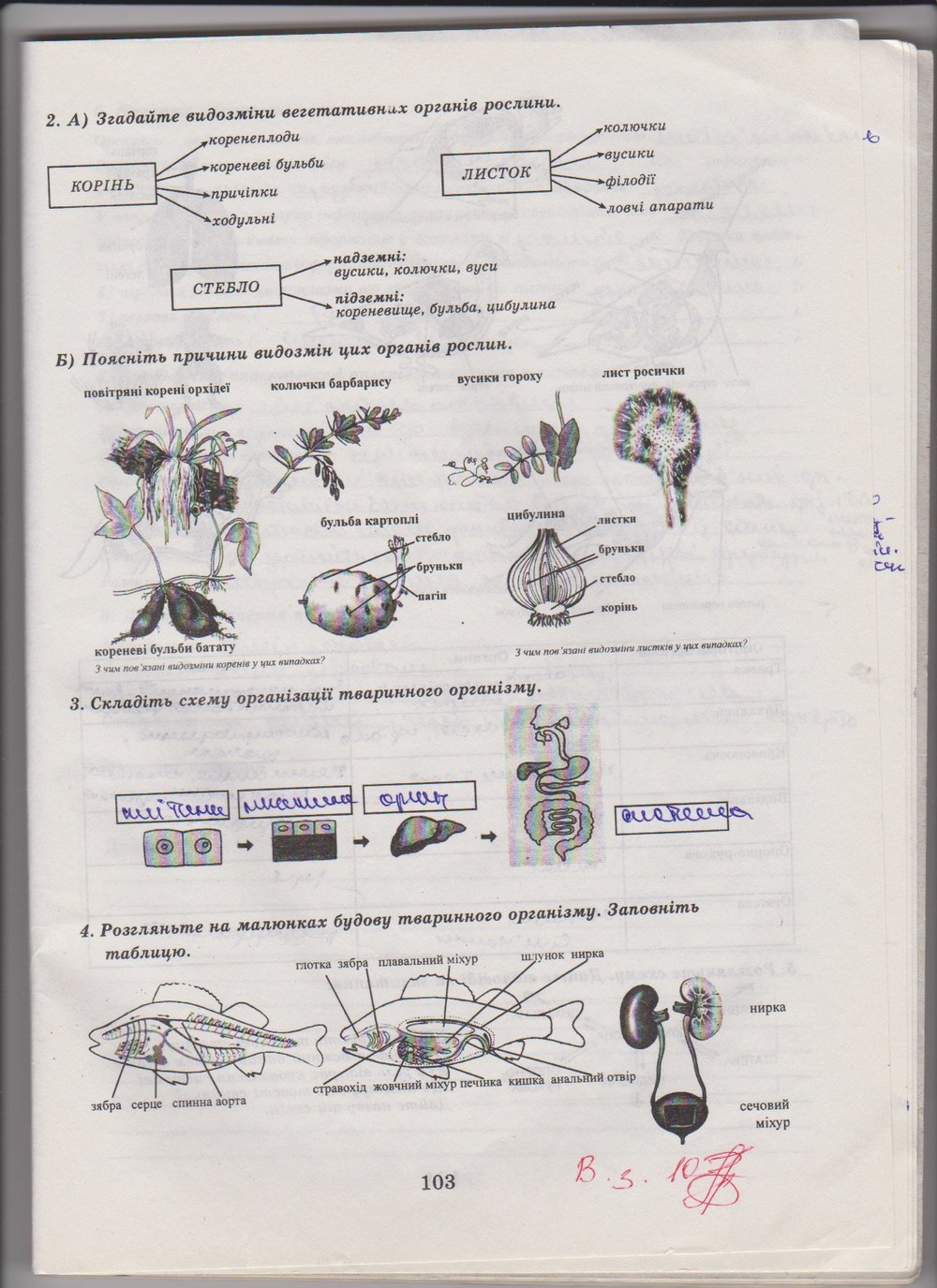 Робочий зошит з біології 10 клас Е. Яковлева, Н. Гусева Страница 103