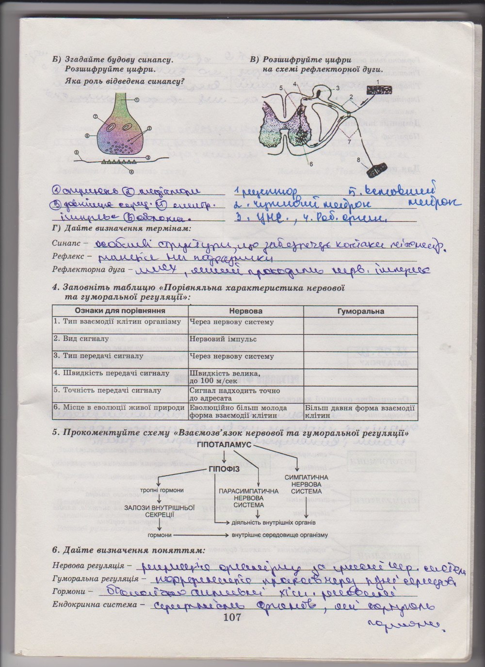 Робочий зошит з біології 10 клас Е. Яковлева, Н. Гусева Страница 107