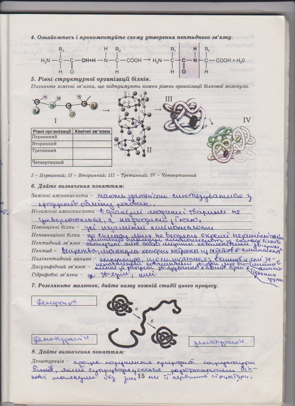 Робочий зошит з біології 10 клас Е. Яковлева, Н. Гусева Страница 15
