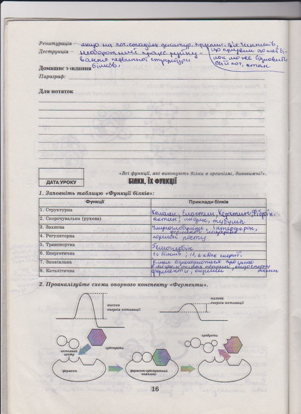 Робочий зошит з біології 10 клас Е. Яковлева, Н. Гусева Страница 16