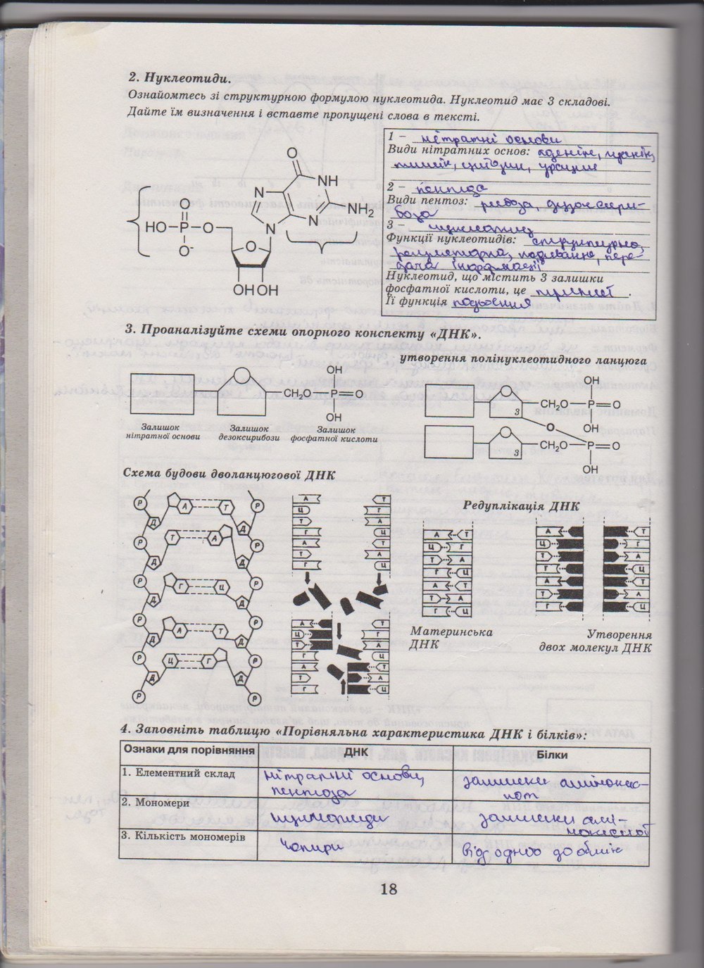 Робочий зошит з біології 10 клас Е. Яковлева, Н. Гусева Страница 18