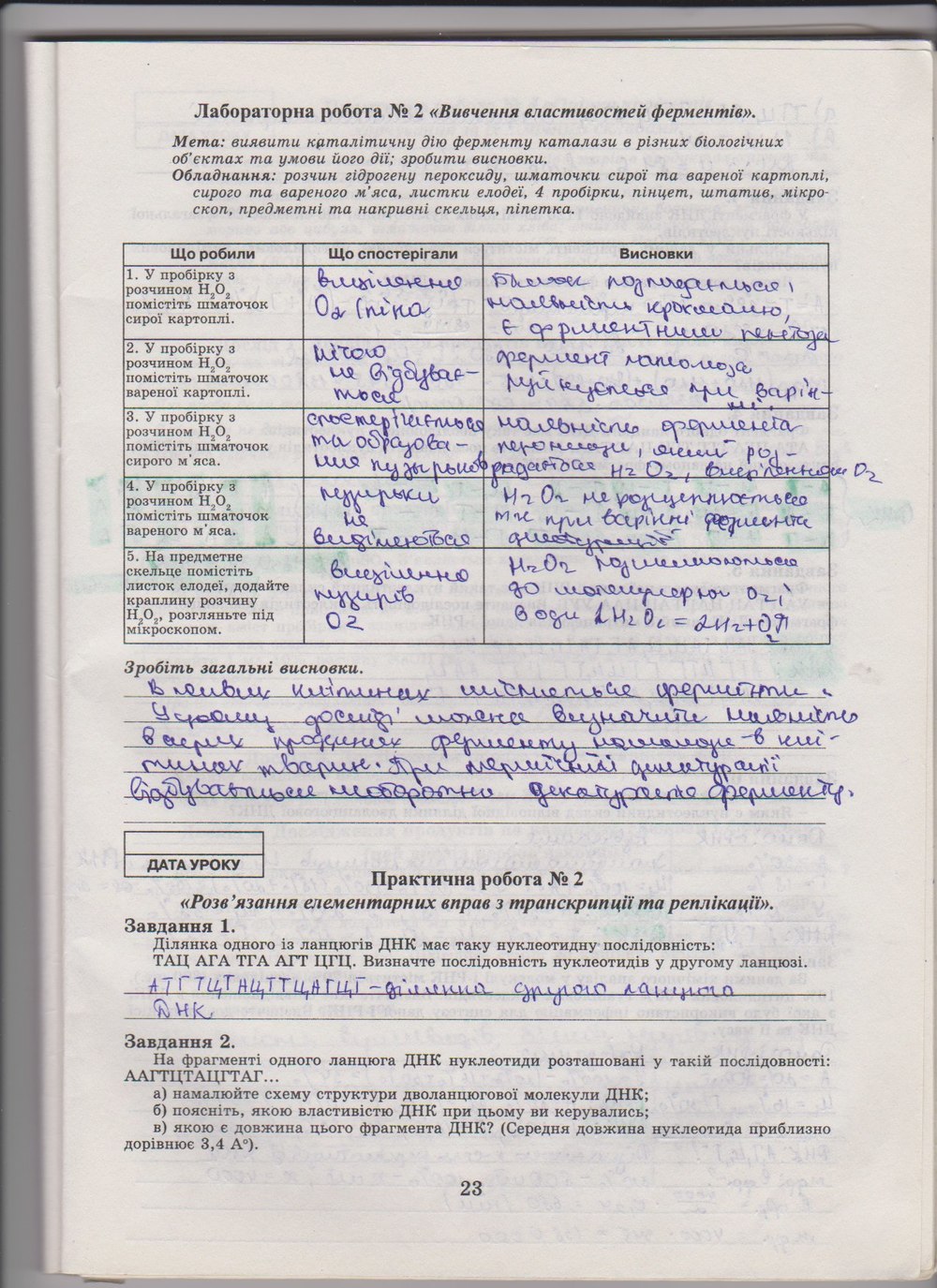 Робочий зошит з біології 10 клас Е. Яковлева, Н. Гусева Страница 23