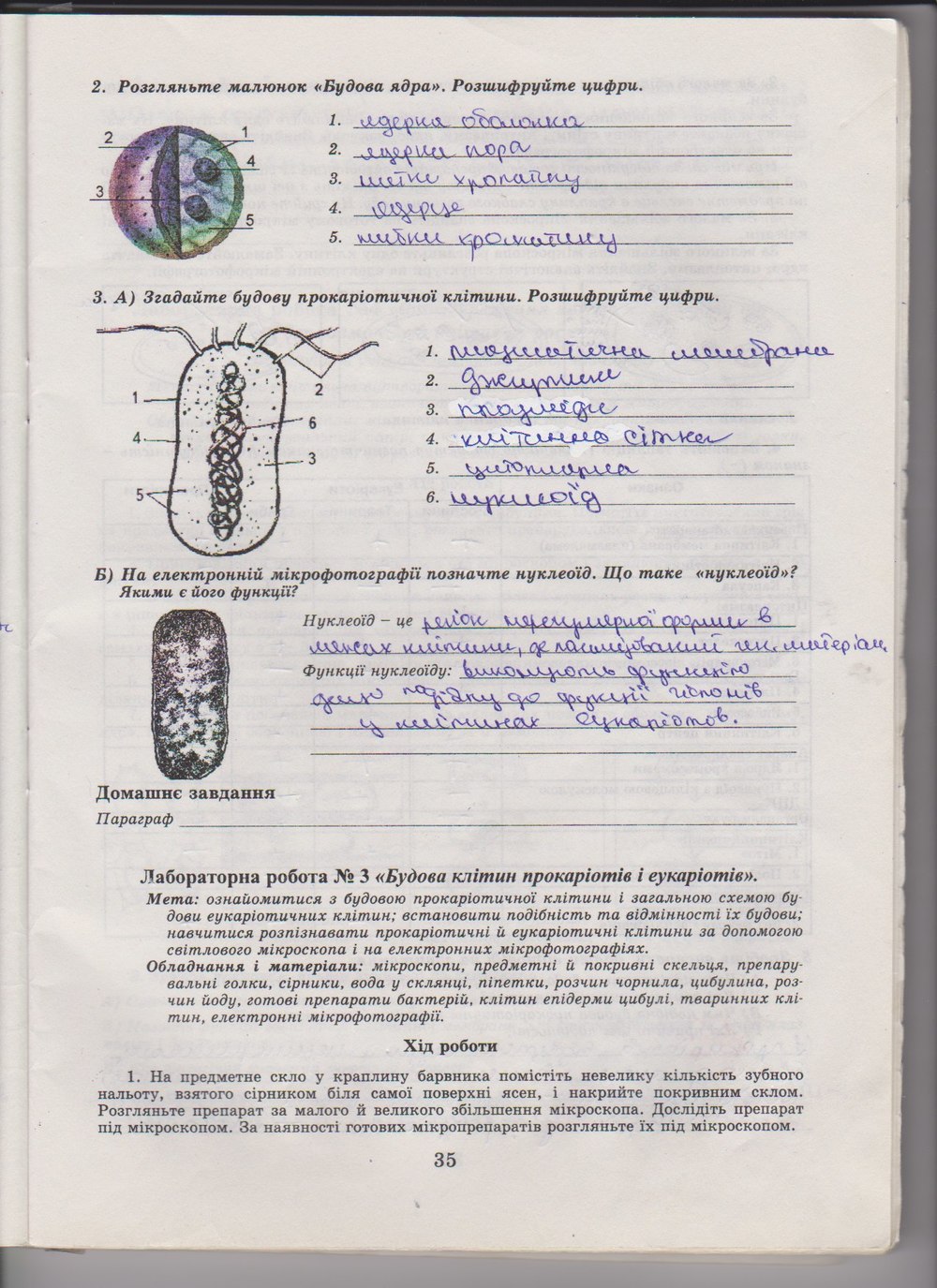 Робочий зошит з біології 10 клас Е. Яковлева, Н. Гусева Страница 35