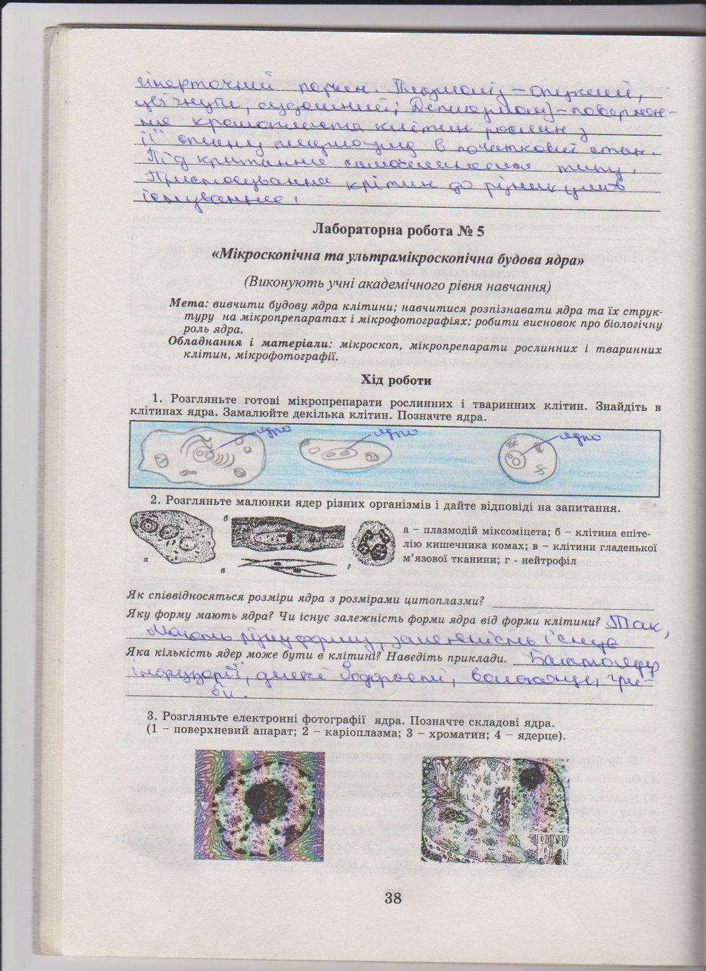 Робочий зошит з біології 10 клас Е. Яковлева, Н. Гусева Страница 38