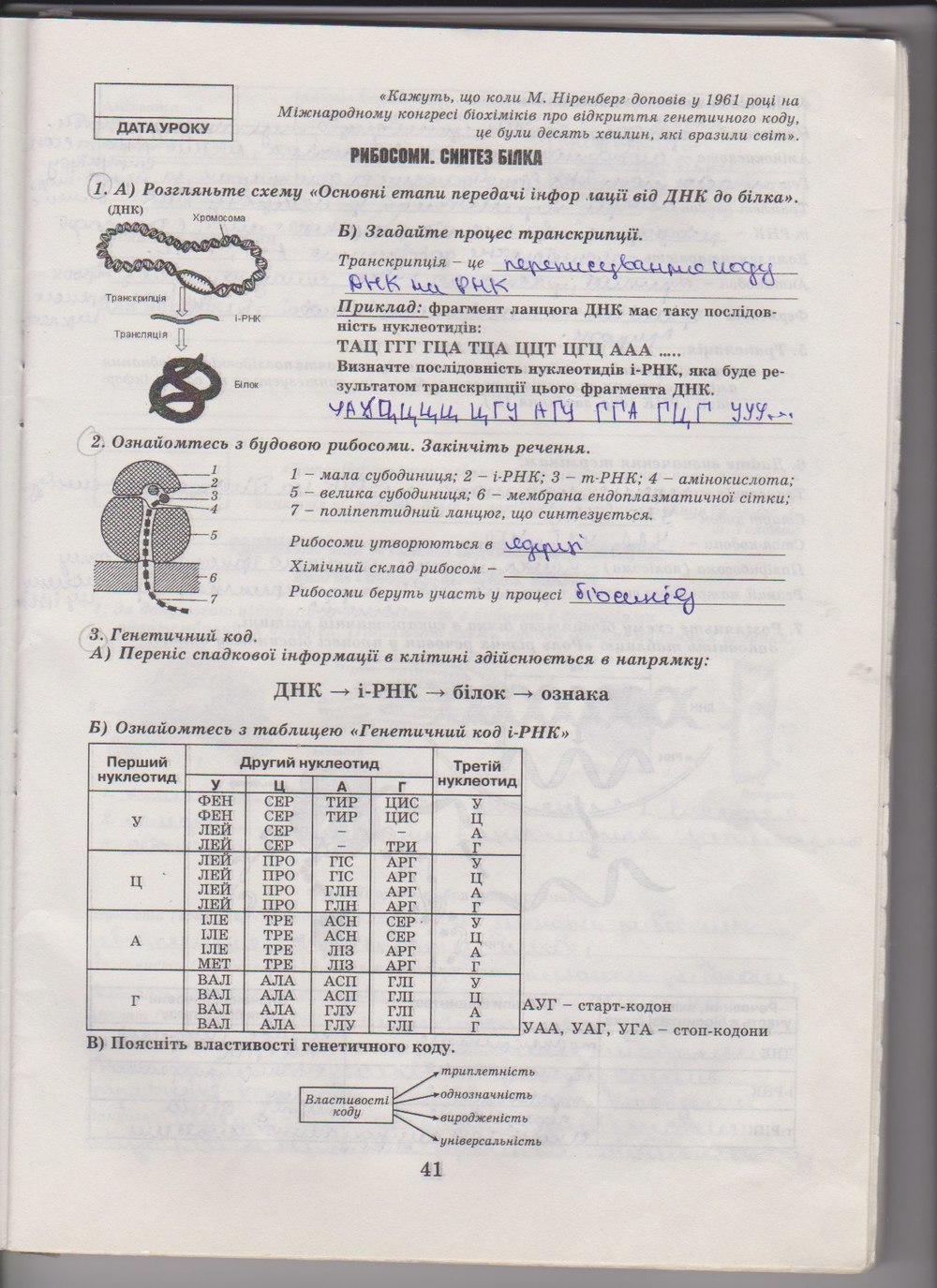 Робочий зошит з біології 10 клас Е. Яковлева, Н. Гусева Страница 41