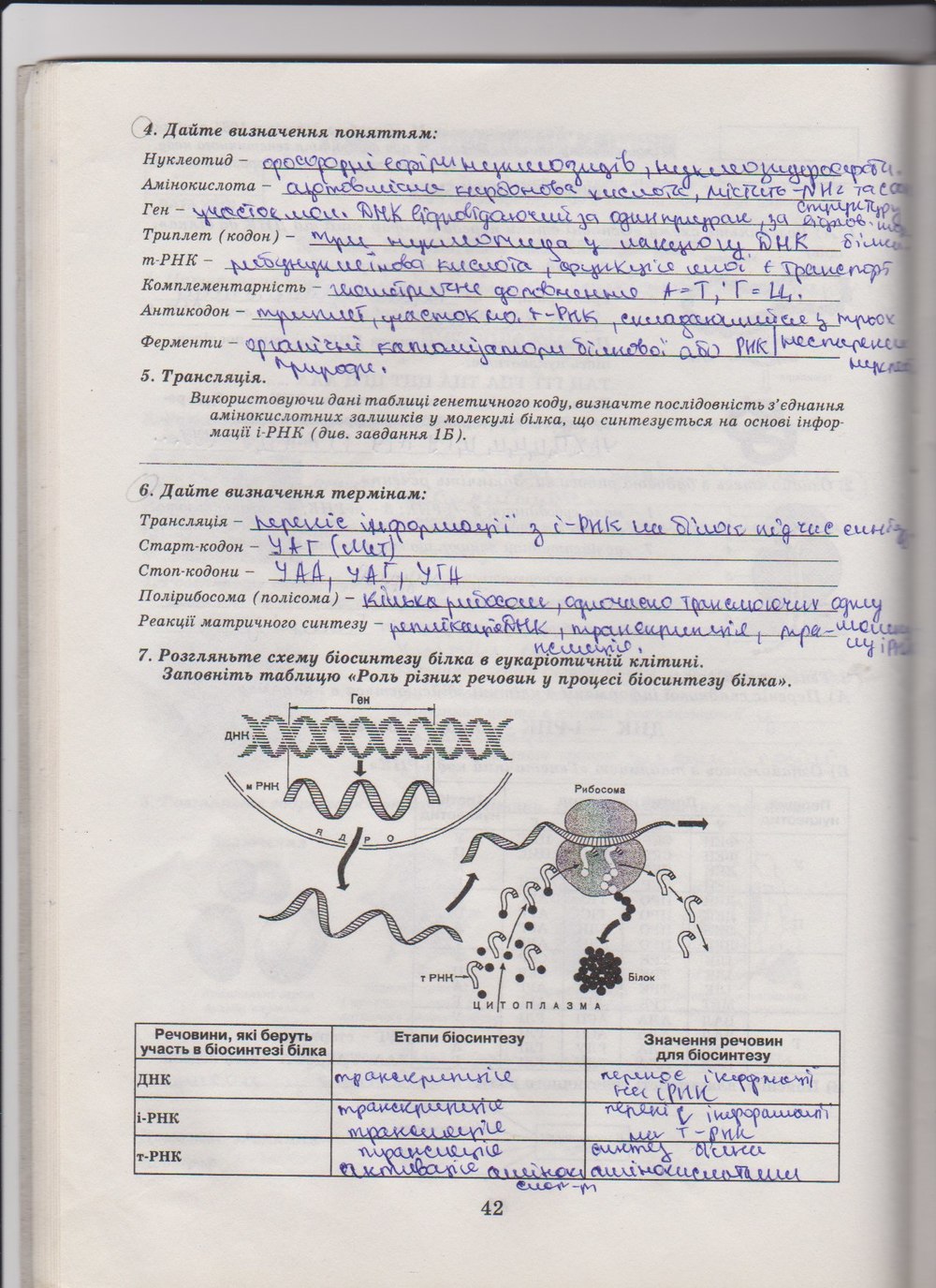 Робочий зошит з біології 10 клас Е. Яковлева, Н. Гусева Страница 42