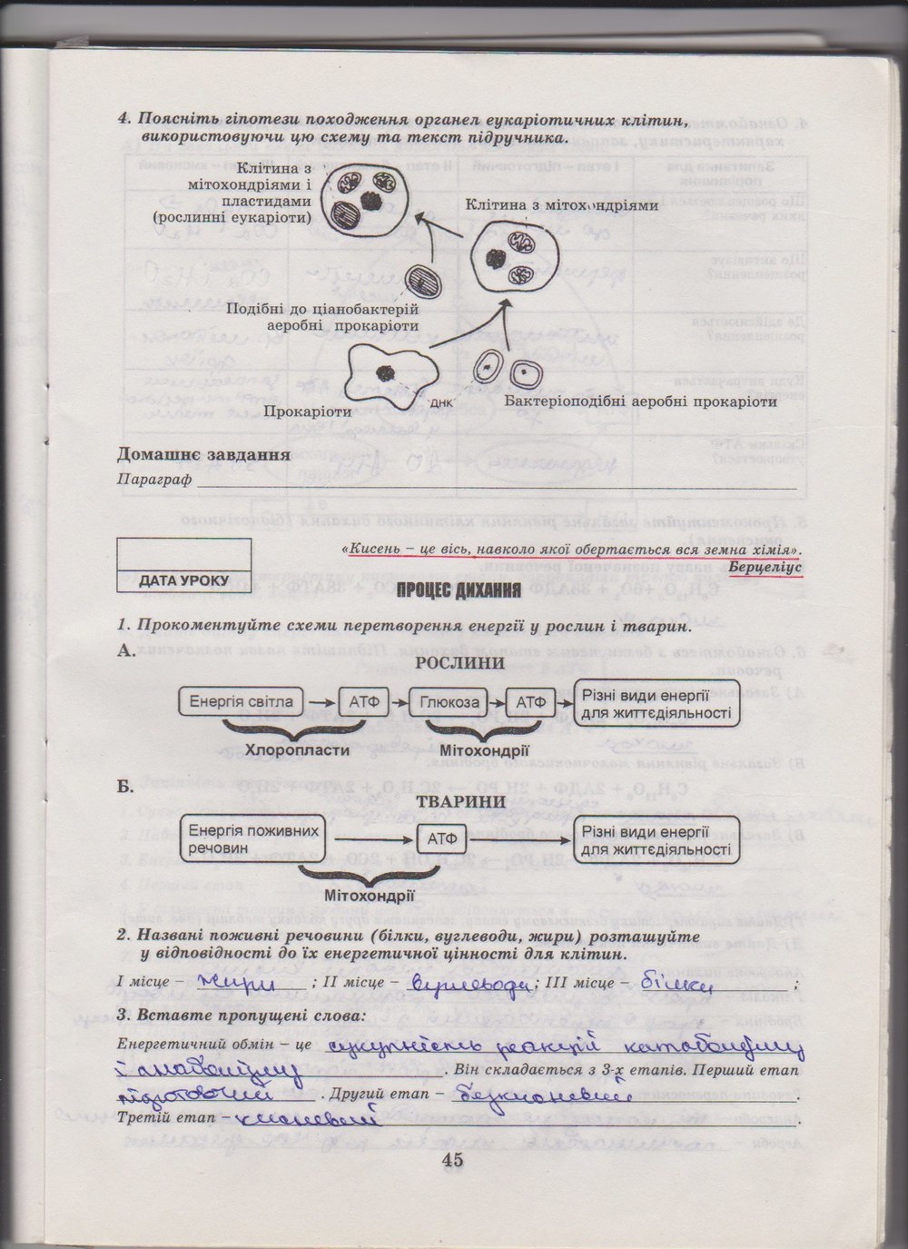 Робочий зошит з біології 10 клас Е. Яковлева, Н. Гусева Страница 45