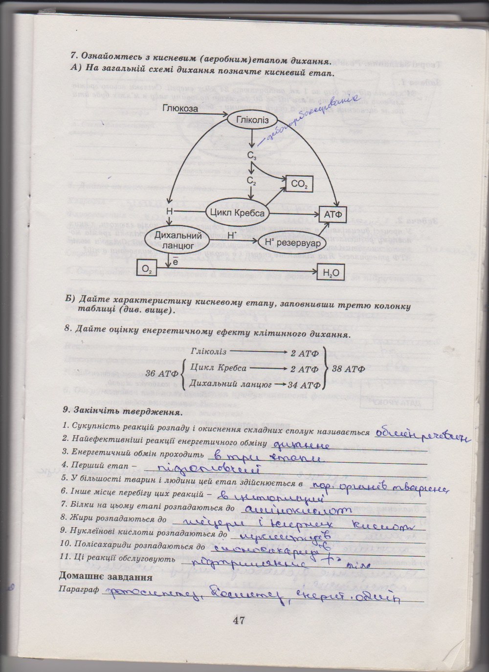 Робочий зошит з біології 10 клас Е. Яковлева, Н. Гусева Страница 47