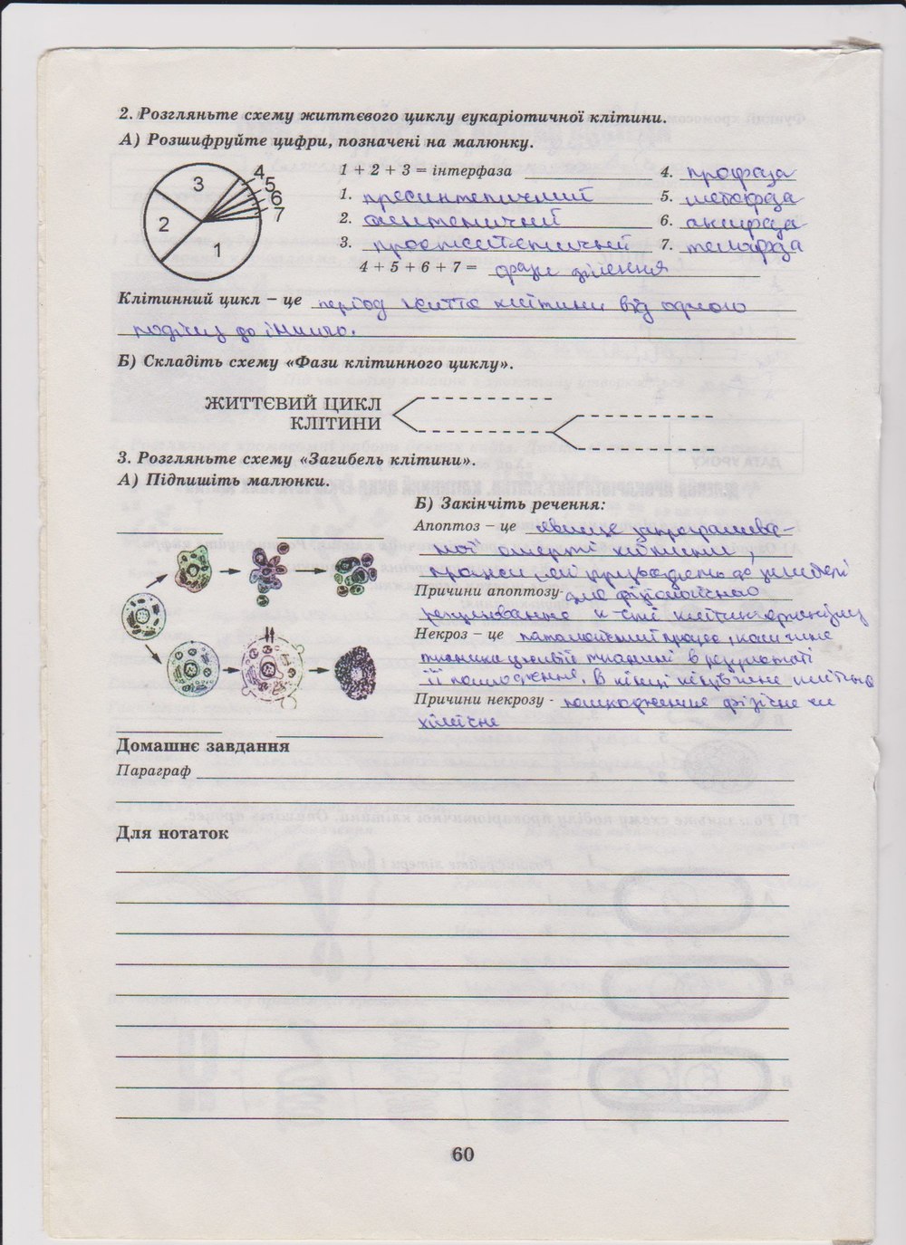 Робочий зошит з біології 10 клас Е. Яковлева, Н. Гусева Страница 60