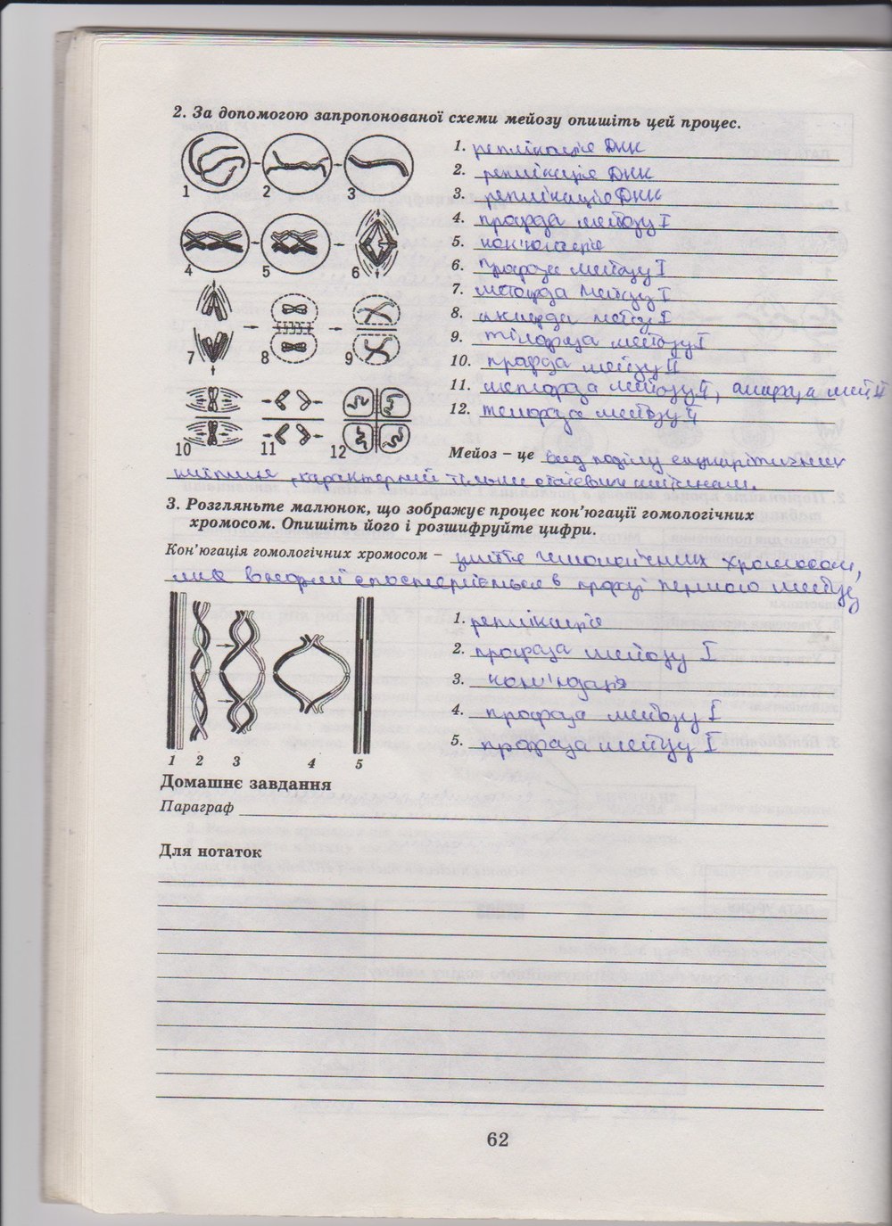 Робочий зошит з біології 10 клас Е. Яковлева, Н. Гусева Страница 62