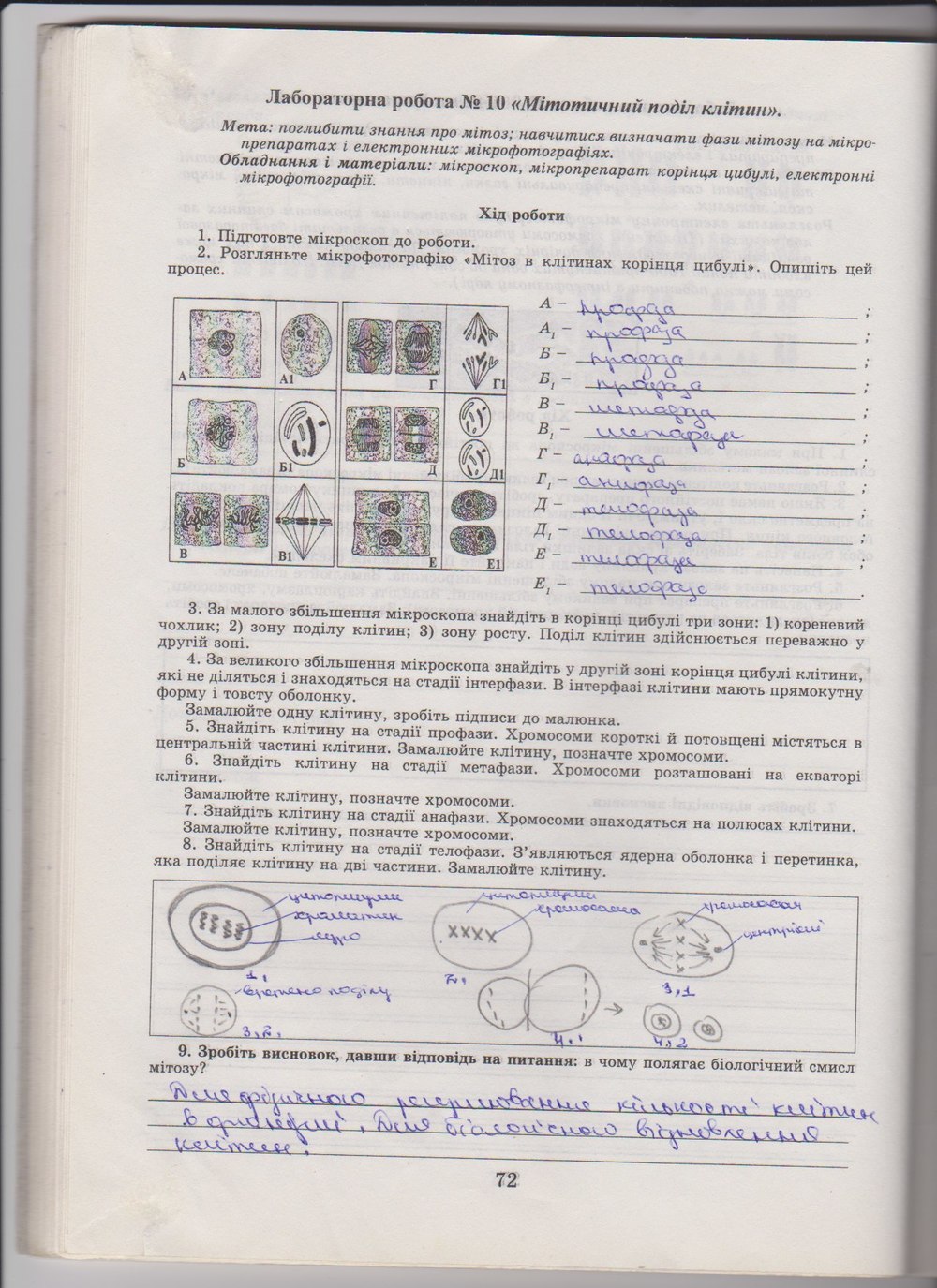 Робочий зошит з біології 10 клас Е. Яковлева, Н. Гусева Страница 72