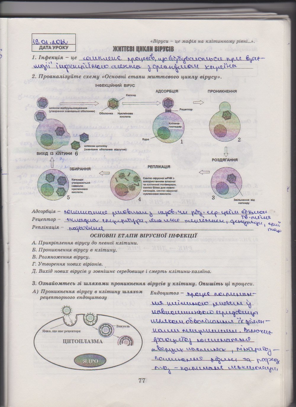 Робочий зошит з біології 10 клас Е. Яковлева, Н. Гусева Страница 77