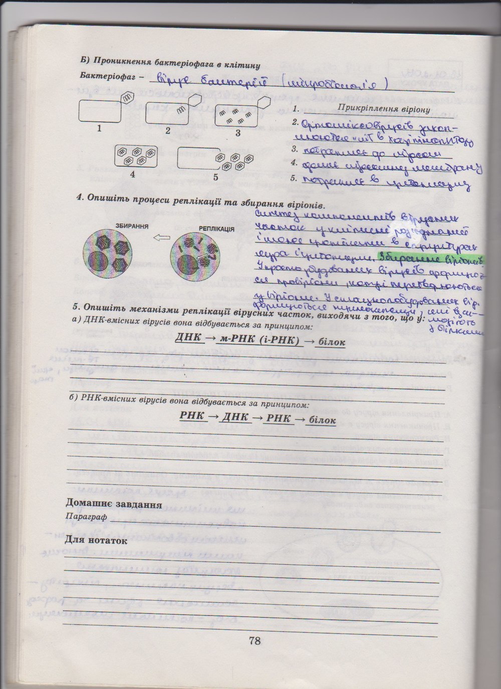 Робочий зошит з біології 10 клас Е. Яковлева, Н. Гусева Страница 78