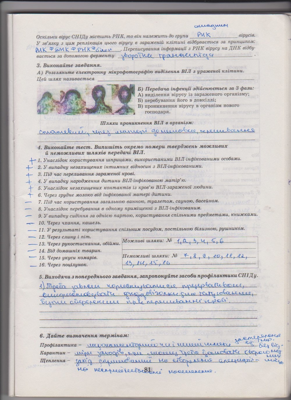 Робочий зошит з біології 10 клас Е. Яковлева, Н. Гусева Страница 81