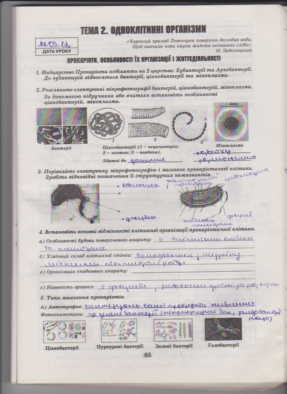 Робочий зошит з біології 10 клас Е. Яковлева, Н. Гусева Страница 85