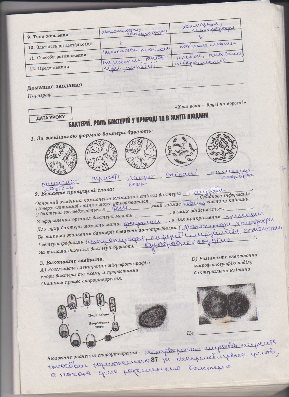 Робочий зошит з біології 10 клас Е. Яковлева, Н. Гусева Страница 87