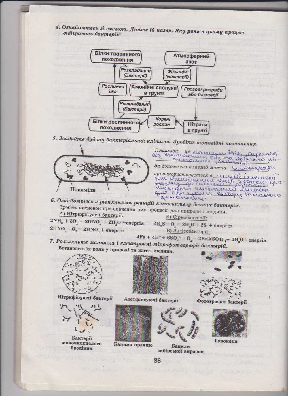 Робочий зошит з біології 10 клас Е. Яковлева, Н. Гусева Страница 88