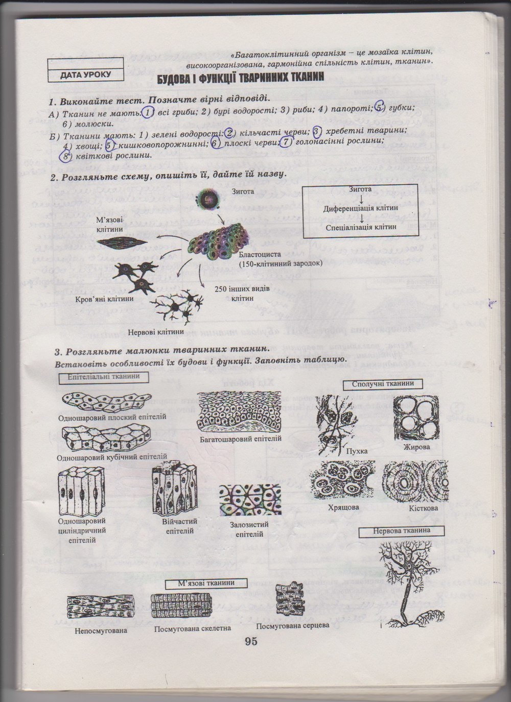 Робочий зошит з біології 10 клас Е. Яковлева, Н. Гусева Страница 95