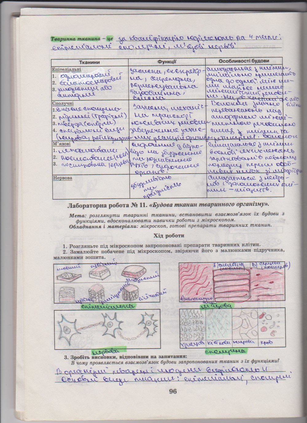 Робочий зошит з біології 10 клас Е. Яковлева, Н. Гусева Страница 96