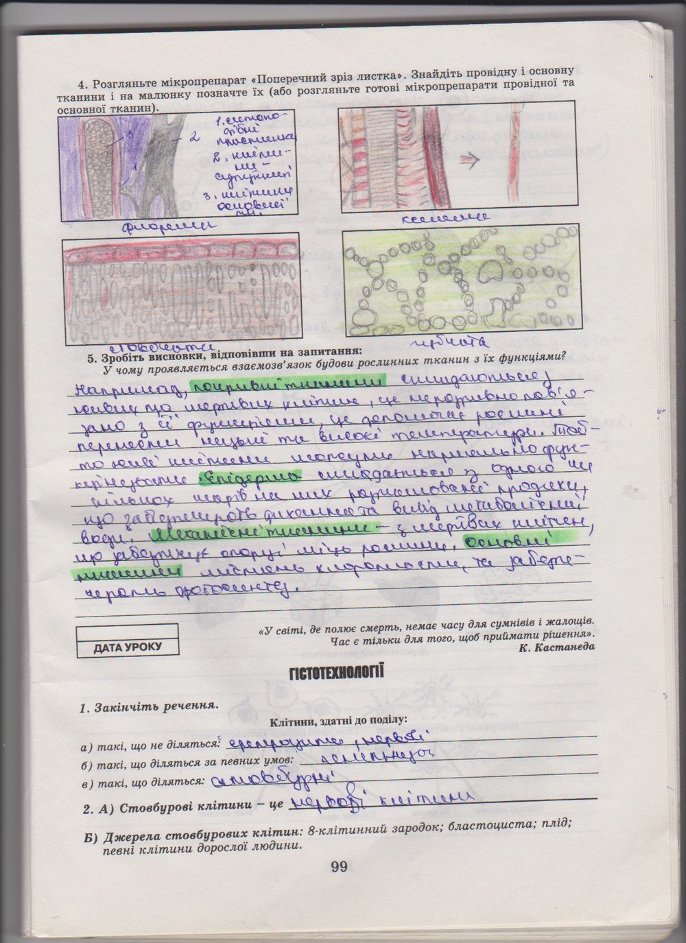 Робочий зошит з біології 10 клас Е. Яковлева, Н. Гусева Страница 99