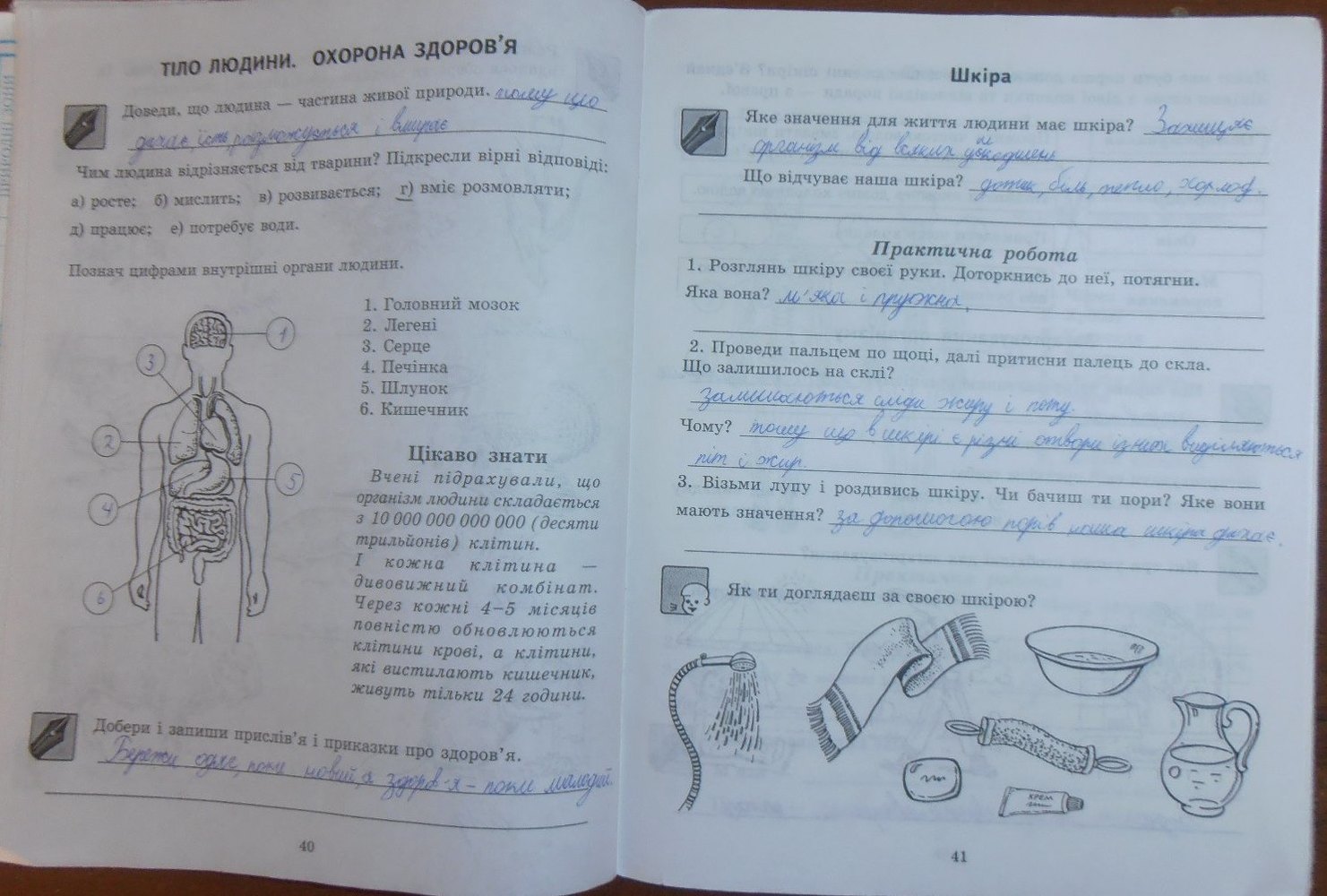 Робочий зошит з природознавства 4 клас  Страница 41