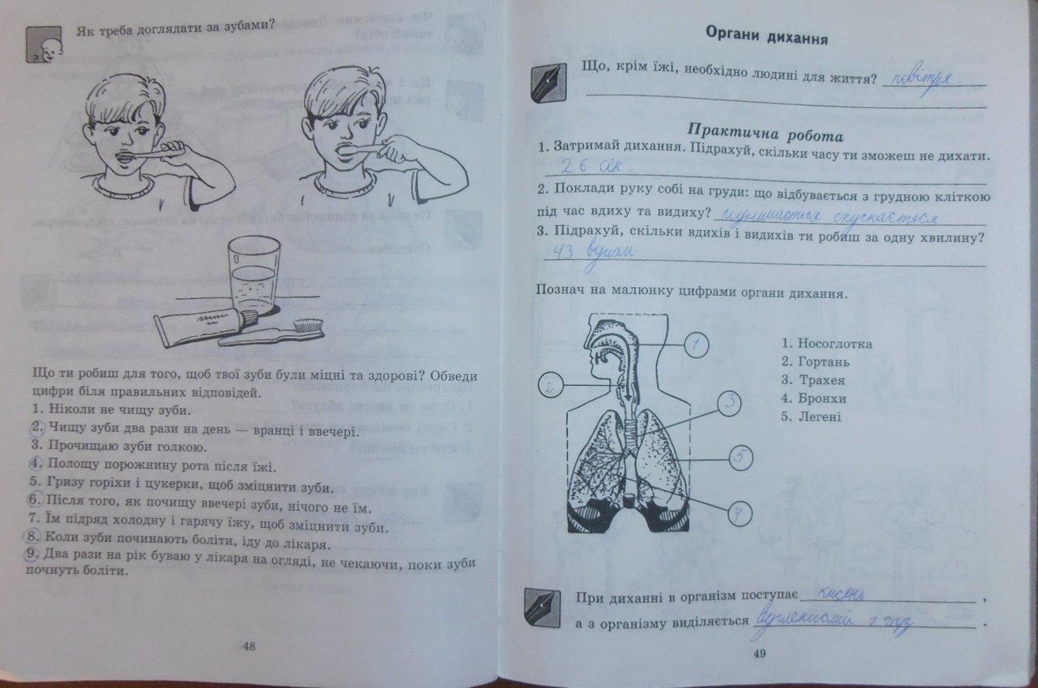 Робочий зошит з природознавства 4 клас  Страница 49