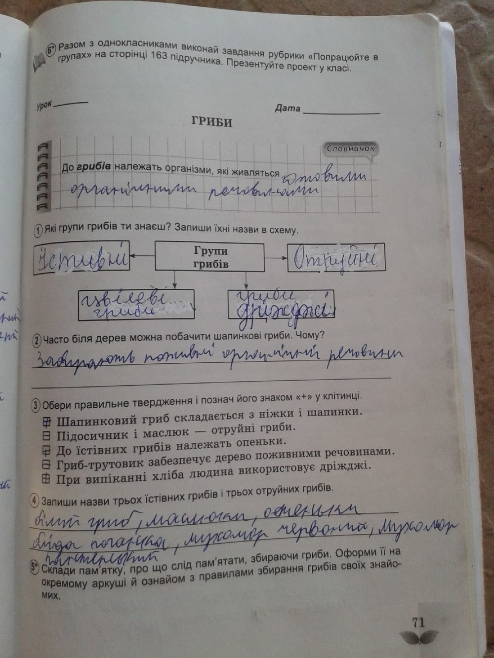 Робочий зошит з природознавства 5 клас Коршевнюк Т.В., Ярошенко О.Г. Страница 71