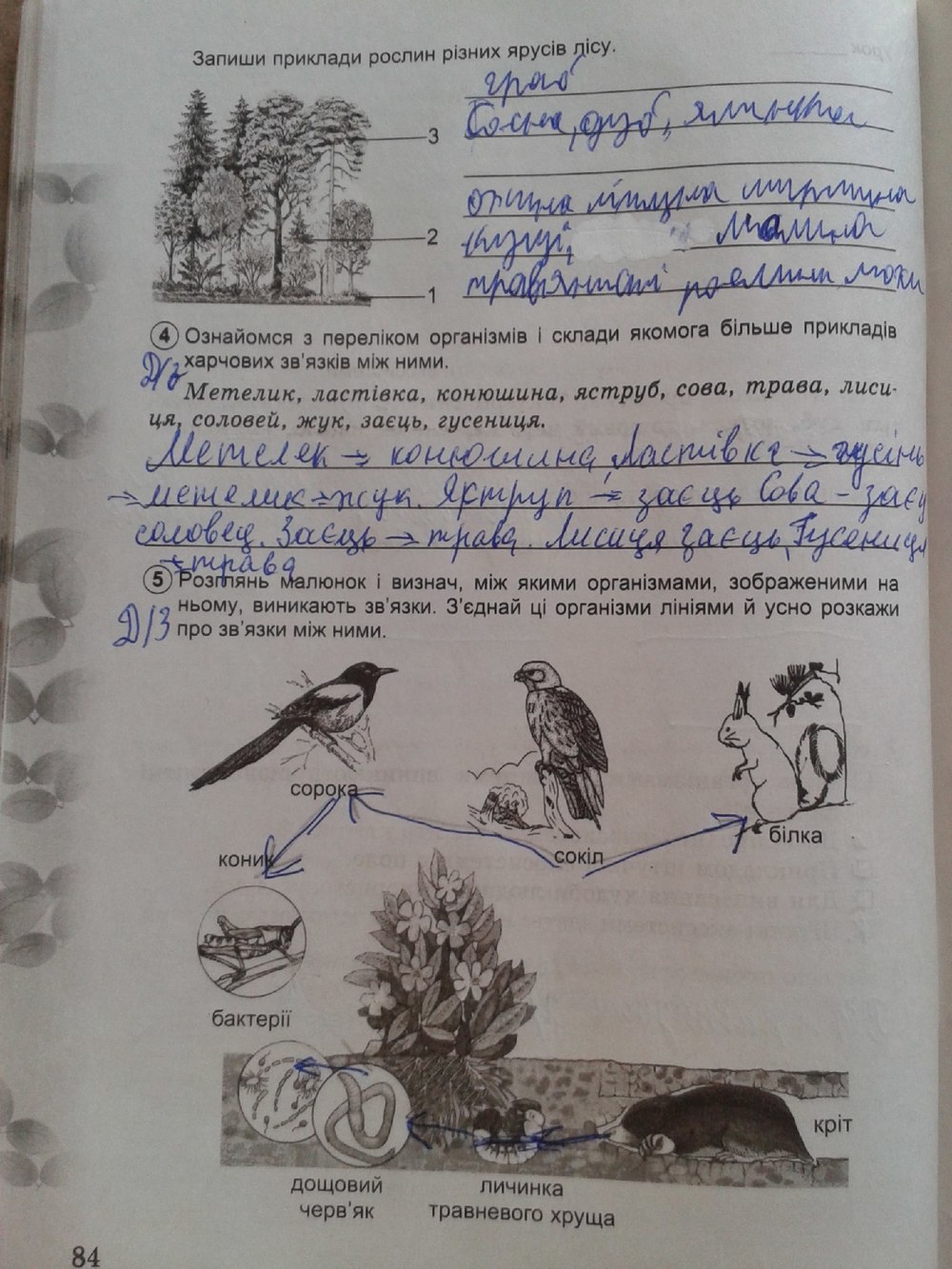Робочий зошит з природознавства 5 клас Коршевнюк Т.В., Ярошенко О.Г. Страница 84