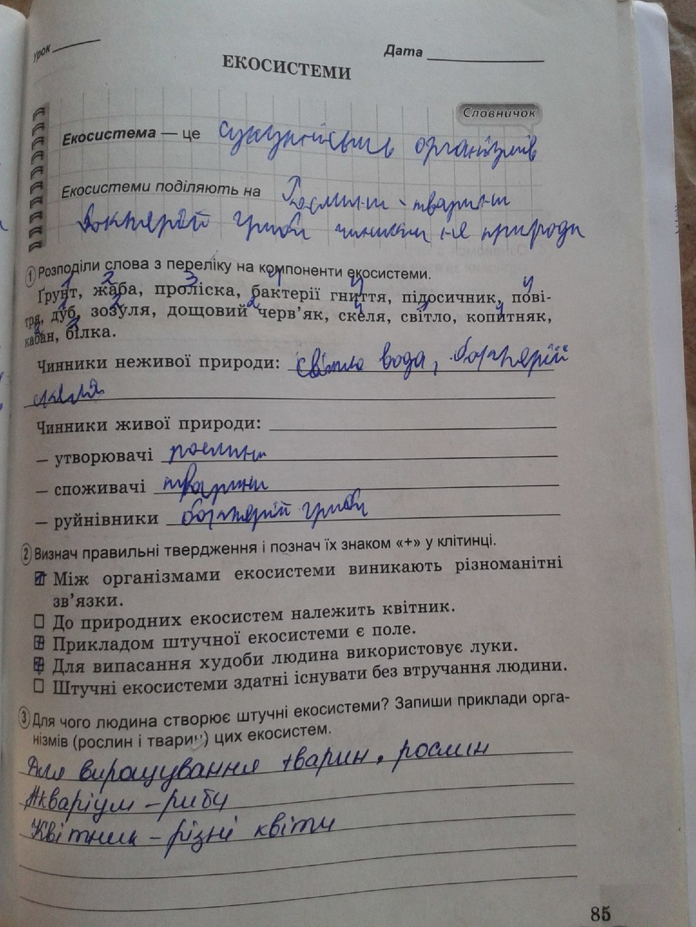 Робочий зошит з природознавства 5 клас Коршевнюк Т.В., Ярошенко О.Г. Страница 85