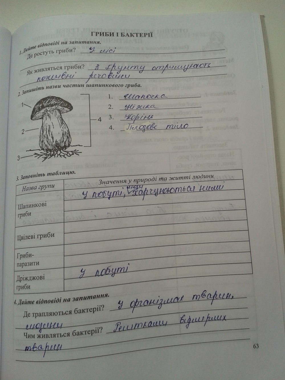 Робочий зошит з природознавства 5 клас Ярошенко О.Г Страница 63