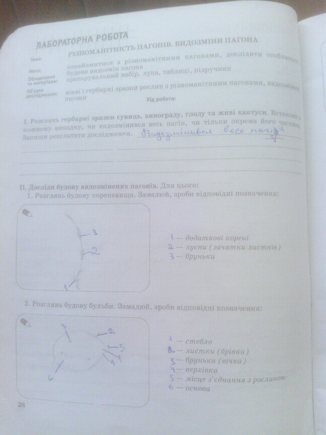 Робочий зошит з біології 7 клас О.В. Князева Страница 28