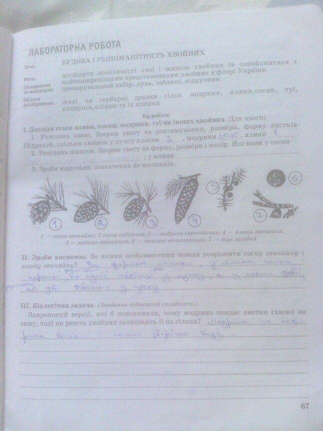 Робочий зошит з біології 7 клас О.В. Князева Страница 67