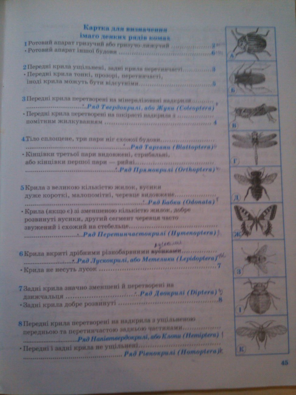 Робочий зошит з біології 8 клас О.В. Князева Страница 45