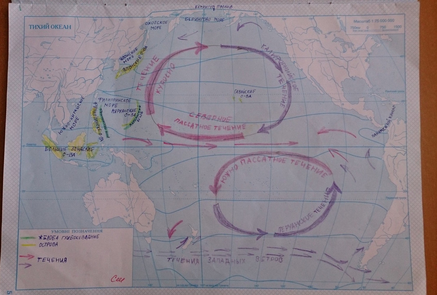 Робочий зошит з географії 7 клас. Географія материків і океанів. Контурні карти  Страница 5