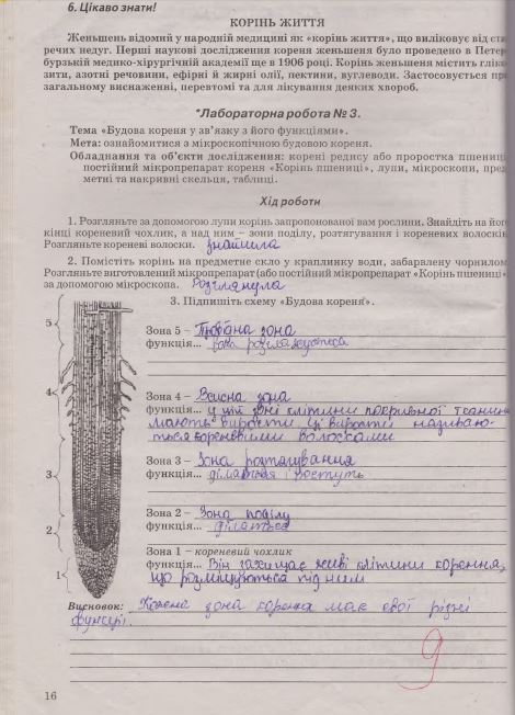 Робочий зошит з біології 7 клас Калінчук А., Гусєва Н. Страница 16