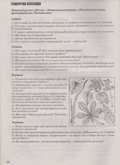 Робочий зошит з біології 7 клас Калінчук А., Гусєва Н. Страница 36