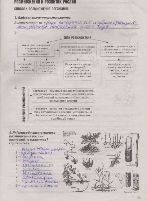 Робочий зошит з біології 7 клас Калінчук А., Гусєва Н. Страница 37
