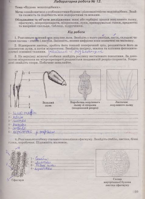 Робочий зошит з біології 7 клас Калінчук А., Гусєва Н. Страница 59