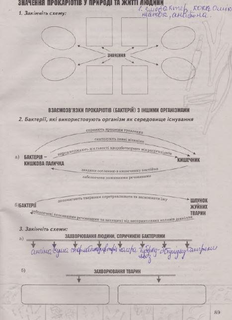 Робочий зошит з біології 7 клас Калінчук А., Гусєва Н. Страница 89