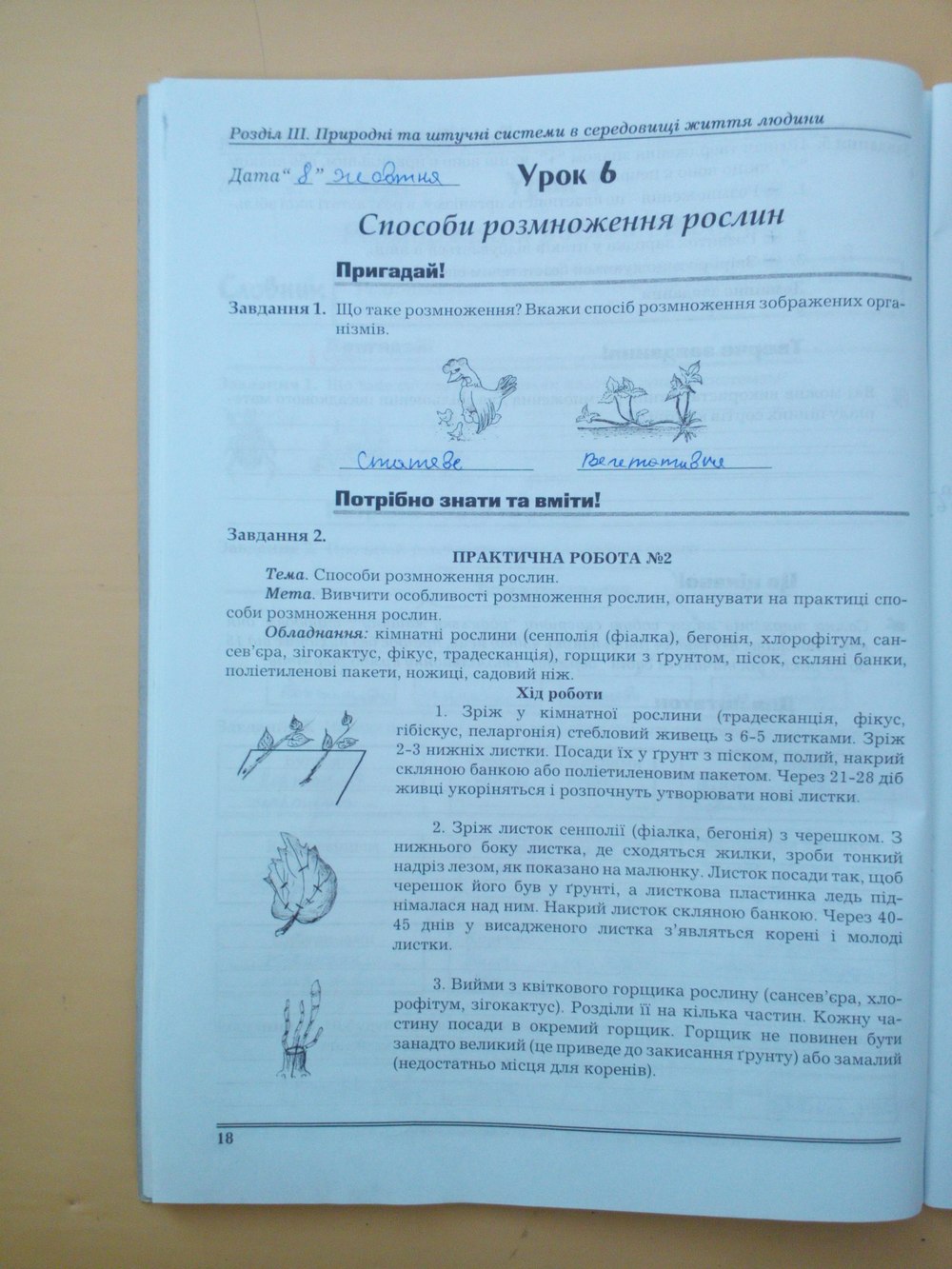 Робочий зошит з природознавства 6 клас Віркун В.О. Страница 18