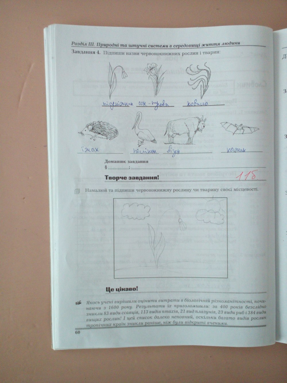Робочий зошит з природознавства 6 клас Віркун В.О. Страница 60