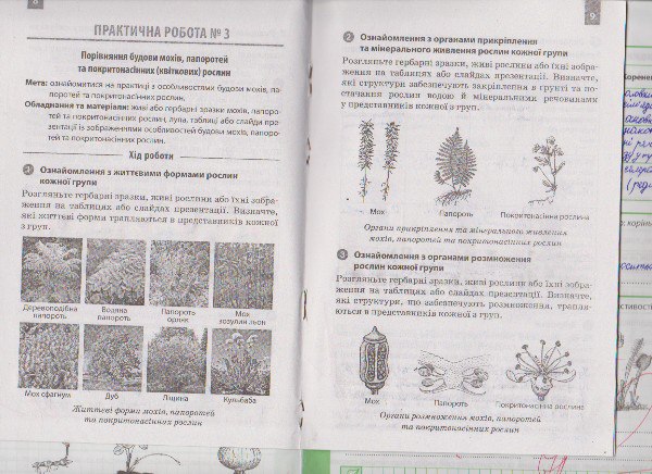 Робочий зошит з біології 6 клас. Зошит для практичних робіт Задорожний К.М. Страница 9